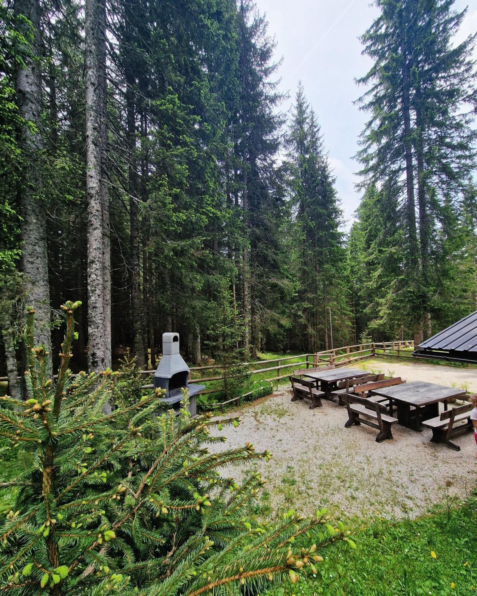 Forest Apartments Pokljuka Zgornje Gorje Kültér fotó
