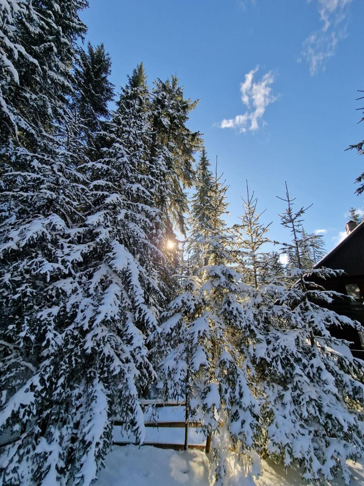 Forest Apartments Pokljuka Zgornje Gorje Kültér fotó