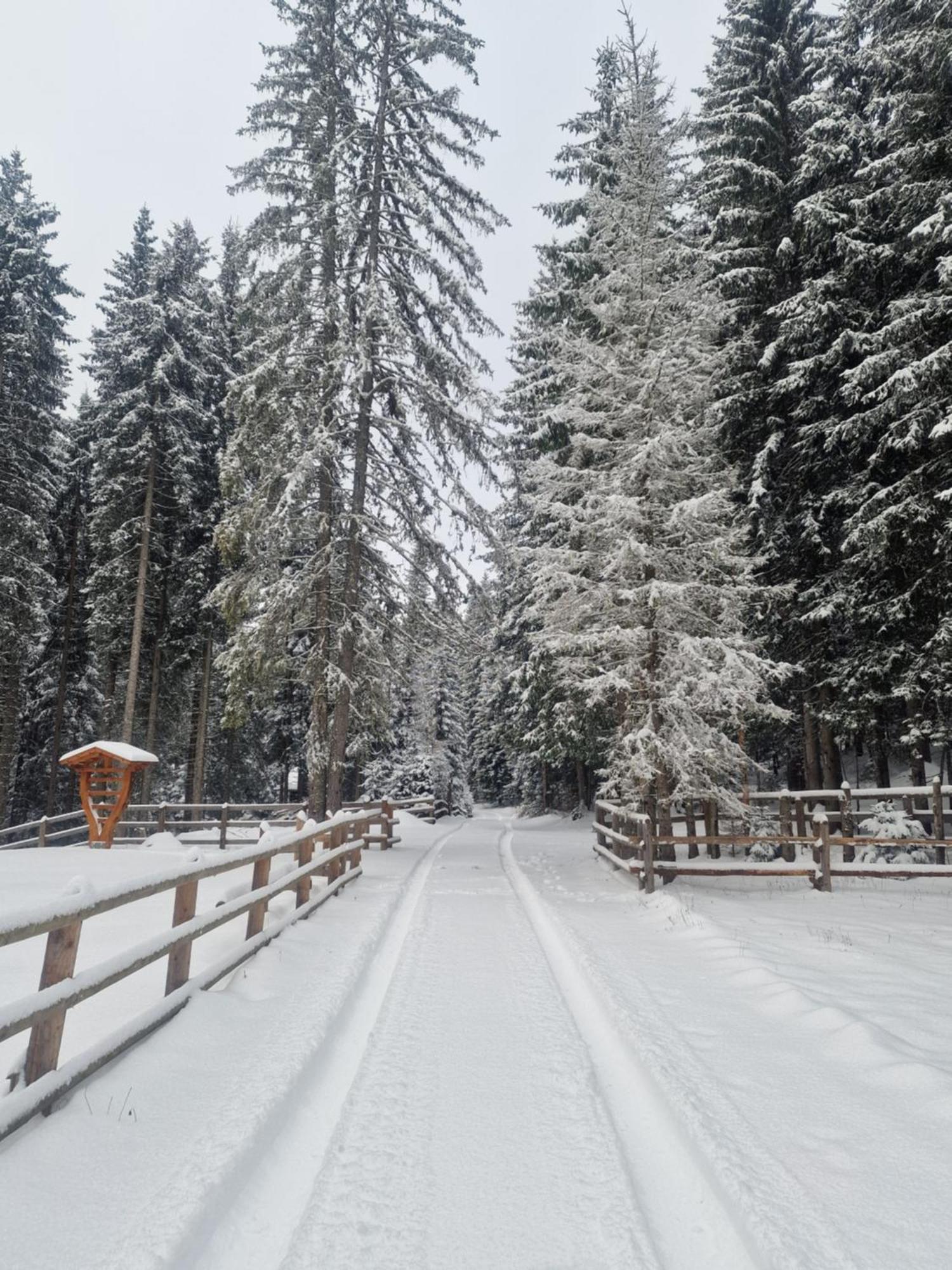 Forest Apartments Pokljuka Zgornje Gorje Kültér fotó