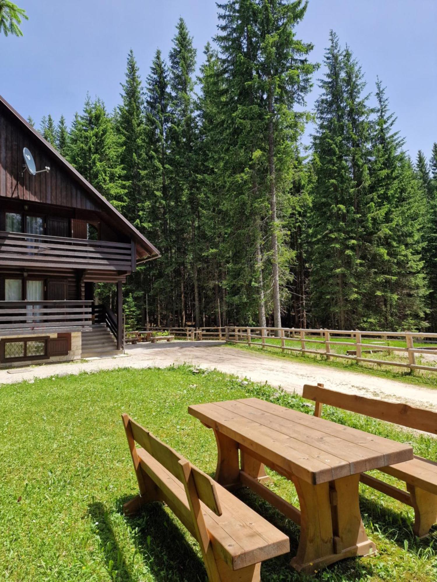 Forest Apartments Pokljuka Zgornje Gorje Kültér fotó