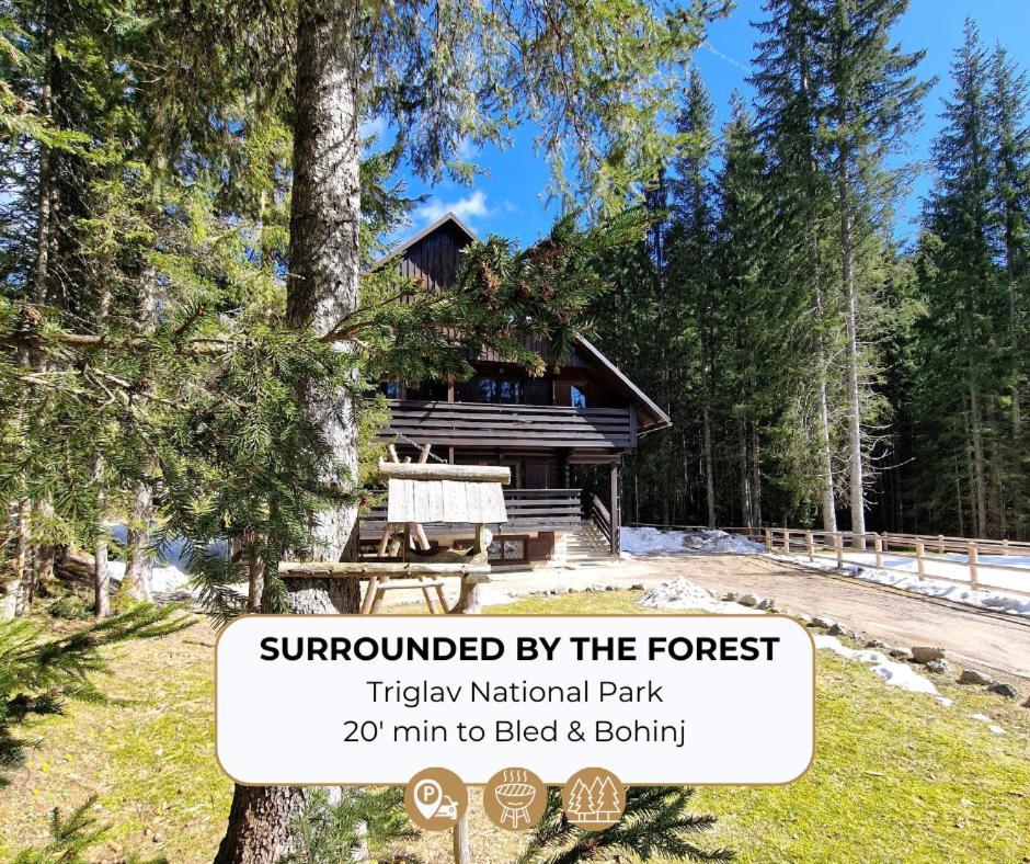 Forest Apartments Pokljuka Zgornje Gorje Kültér fotó