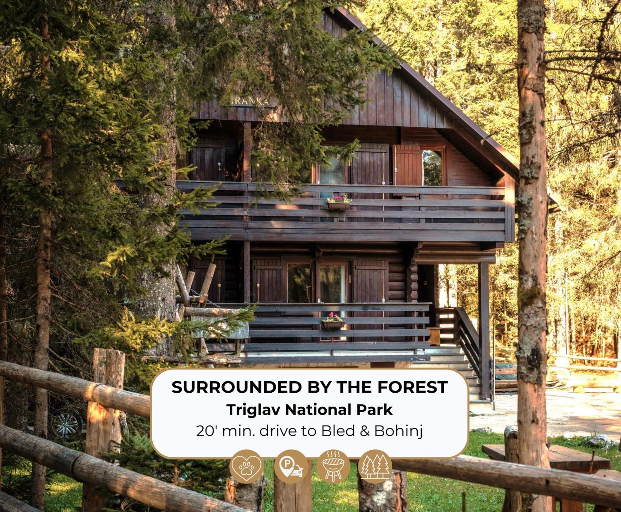 Forest Apartments Pokljuka Zgornje Gorje Kültér fotó