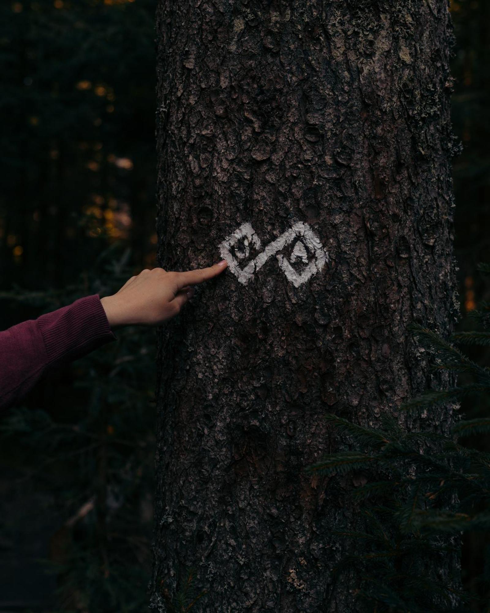 Forest Apartments Pokljuka Zgornje Gorje Kültér fotó