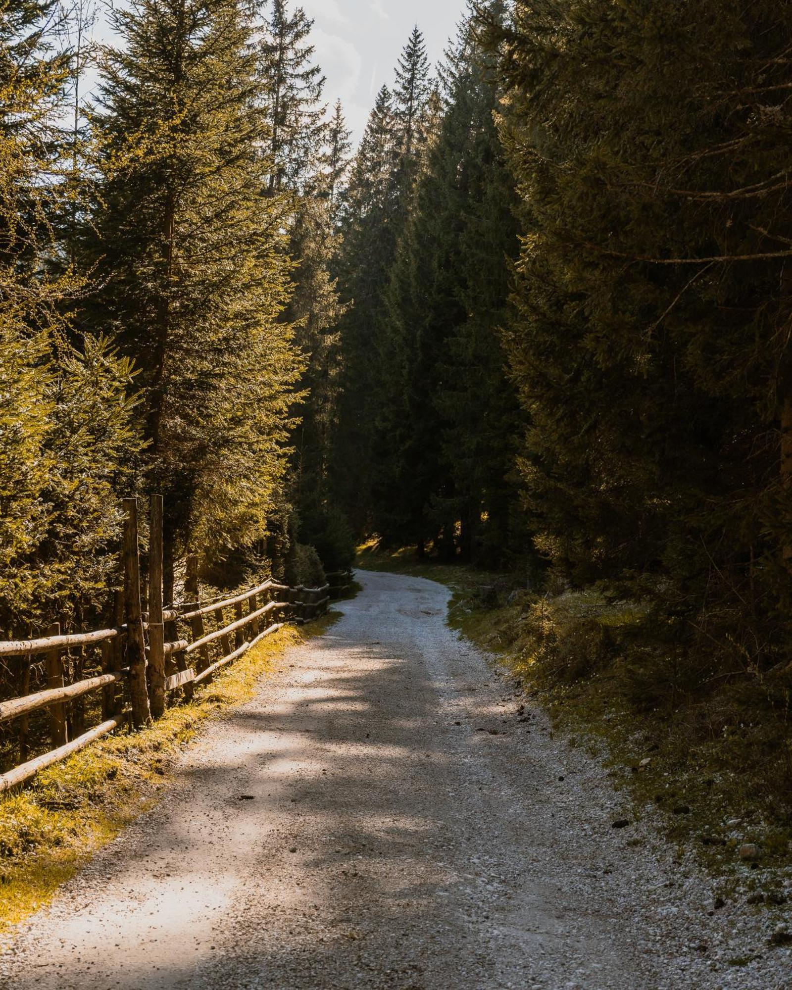 Forest Apartments Pokljuka Zgornje Gorje Kültér fotó